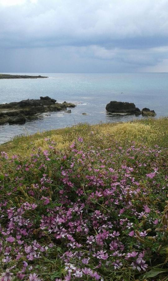 Stella Dell'Urmo Villa Avetrana Dış mekan fotoğraf